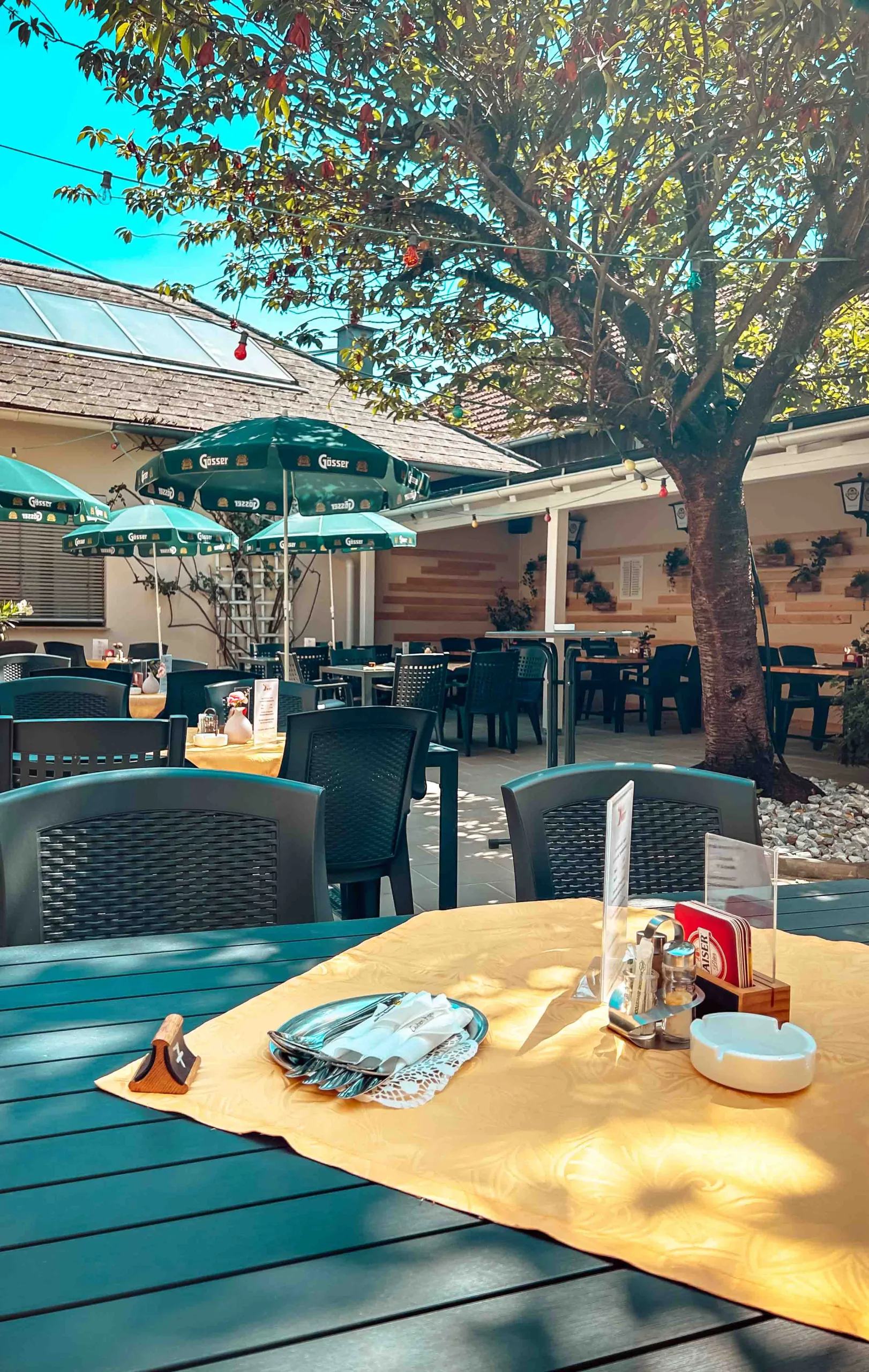 20230727_090115220_iOS