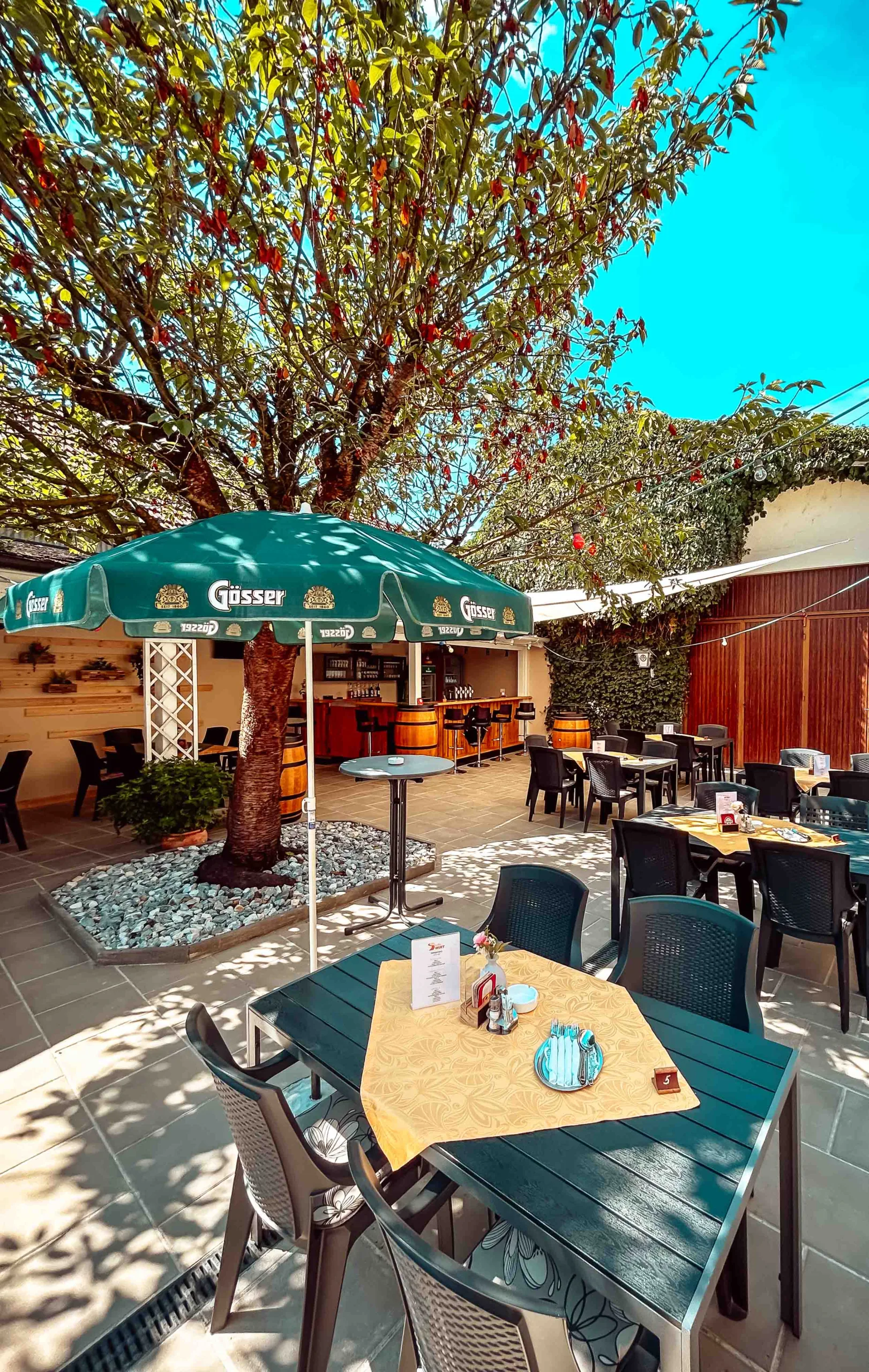 20230727_090211767_iOS