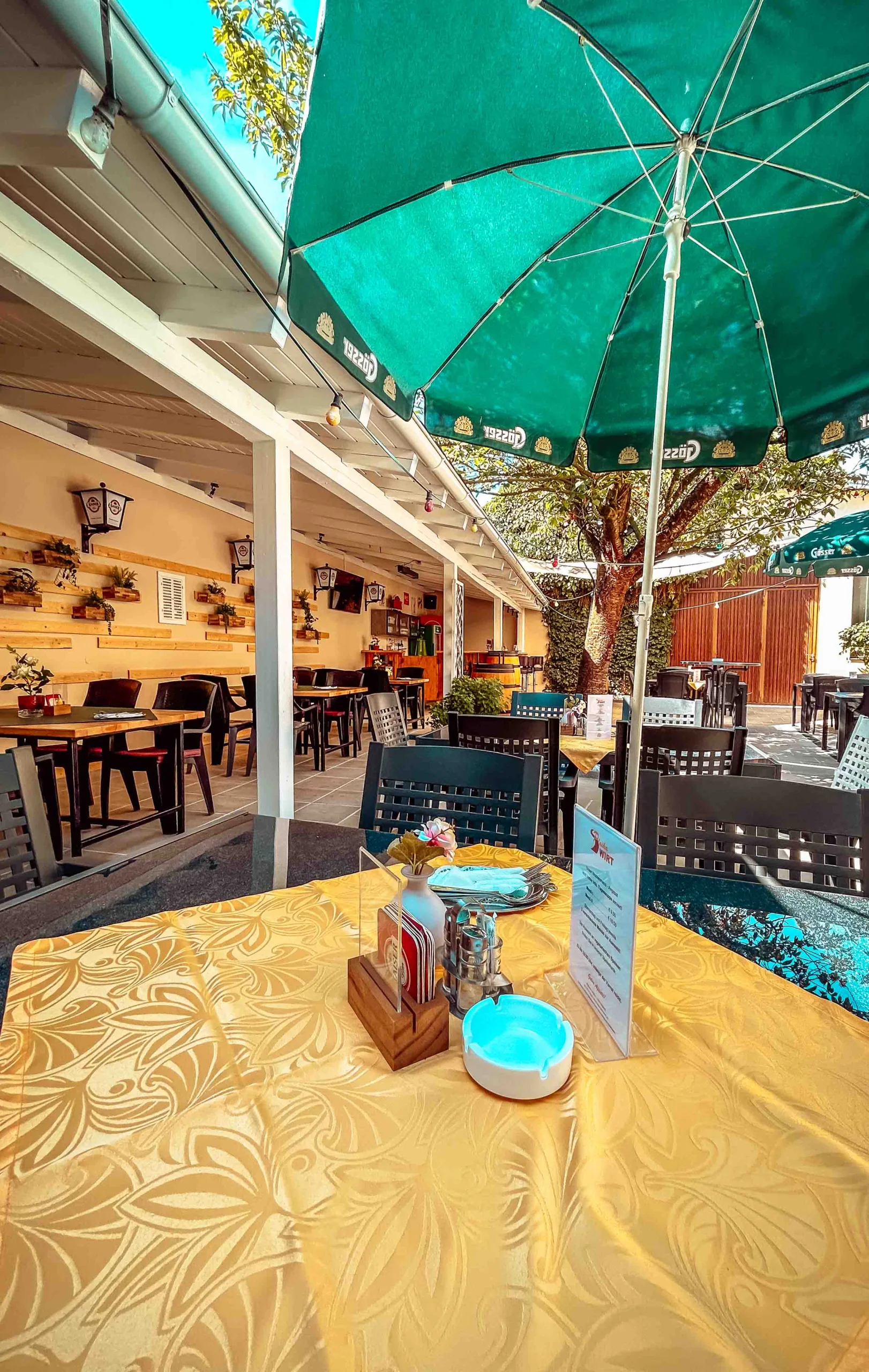 20230727_090226280_iOS