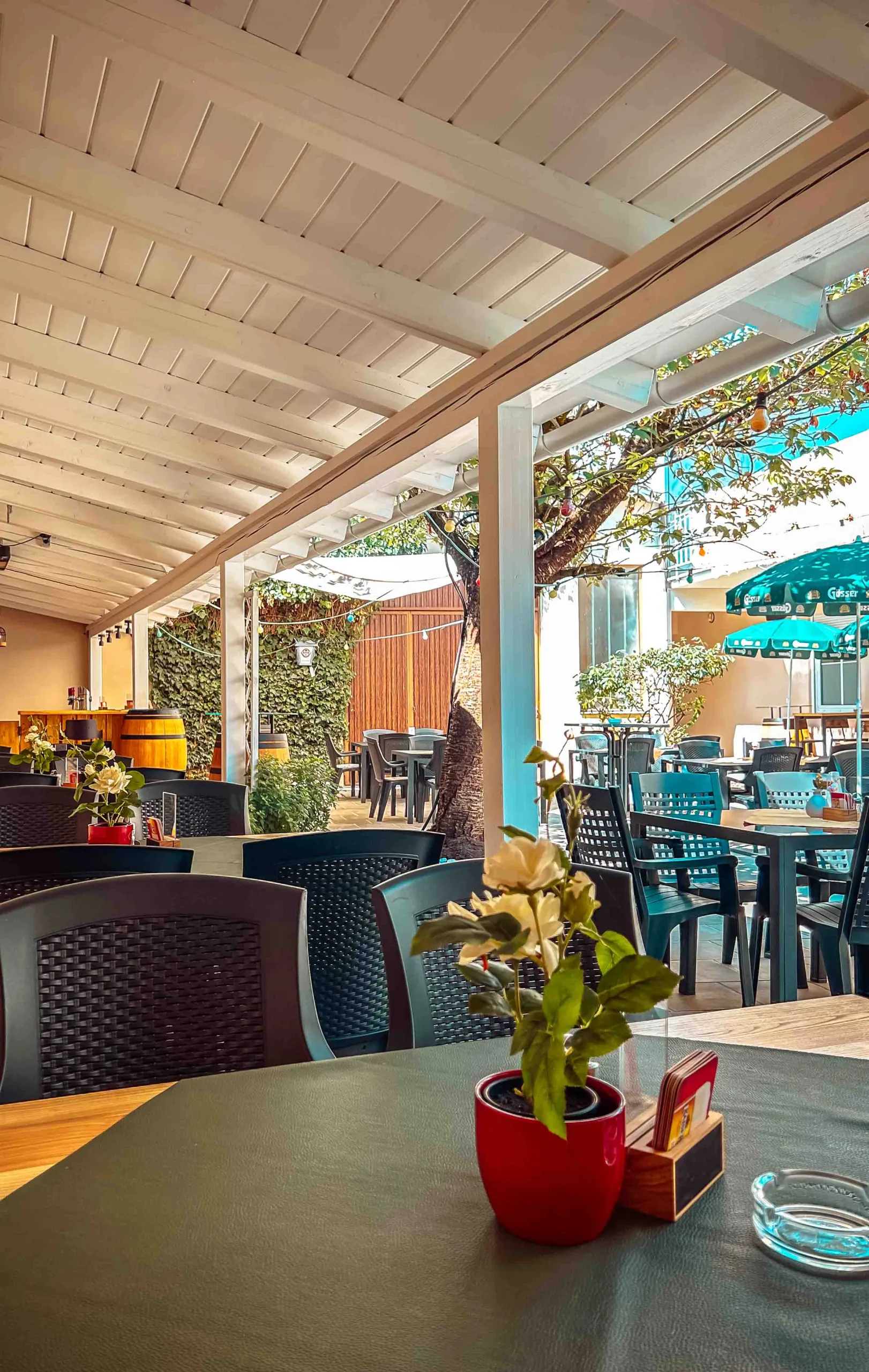 20230727_090252084_iOS