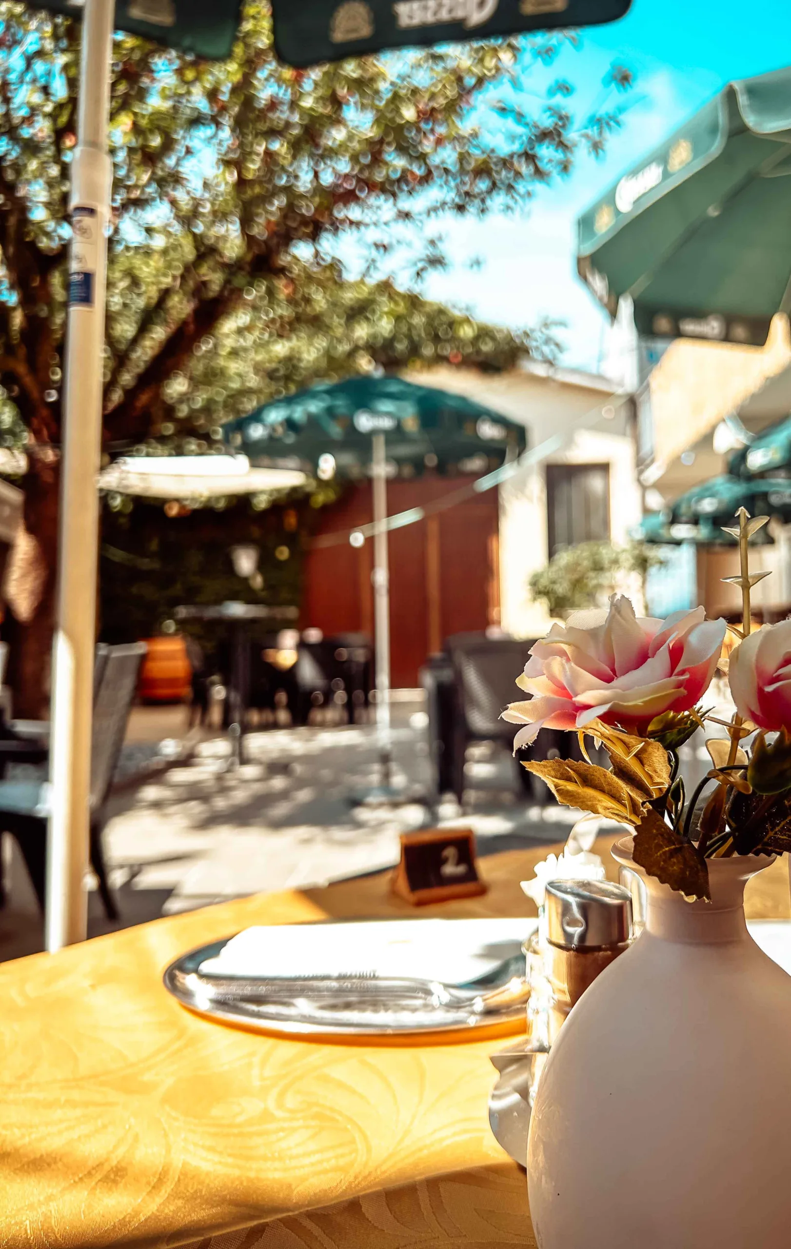 20230727_090349673_iOS